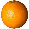 orangegirlnz Profile Picture