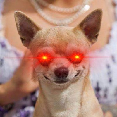 pheungthonglor's profile picture. Covalent Alchemist Ambassador | Moonbeam Ambassador | Manta Network Ambassador | Secret Agent