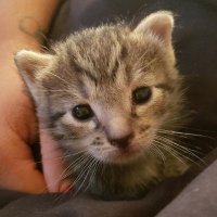 #2Perncil (@marthag90611894) 's Twitter Profile
