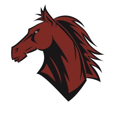 MVMustangsDean Profile Picture