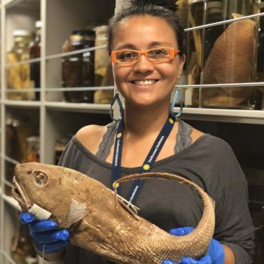 Evolutionary ichthyologist @NMNH working on Fish-ES: Fish Evolution & Systematics| #MuseumOmics #SciComm & promoting #DEIB | #TeamFish #fishsci | Tweets my own.