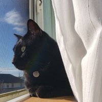 MG (@_vq35de) 's Twitter Profile