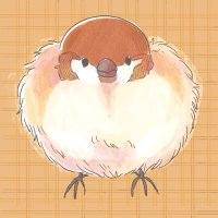 笹井さゆり (@chiyochiyo_syr) 's Twitter Profile