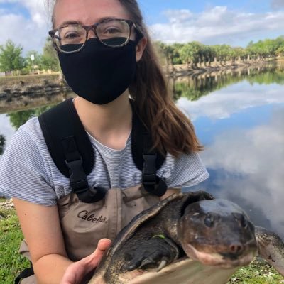 Conservation Researcher | PhD @UMBGSO | @NSFGRFP Fellow | 🇺🇸 US @FulbrightPrgrm Student Alumi for Ghana 🇬🇭 🐢🐟💡#scicomm 🩷💜💙