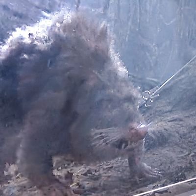 skol_ze's profile picture. ok blz