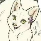 i67119194's profile picture. 