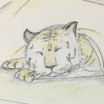 sugarcake6240's profile picture. よく寝てよく食べる