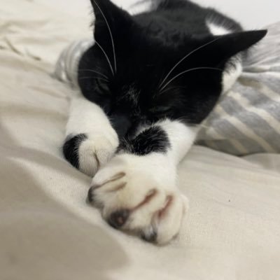 99_farideh's profile picture. 