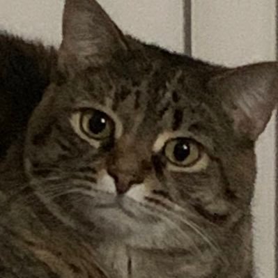 ful nam is crumb “the rangoon master” loki an i comet “tax frad”, apparantlee // mome is @technicityy // BLM, ACAB, 🏳️🌈 //