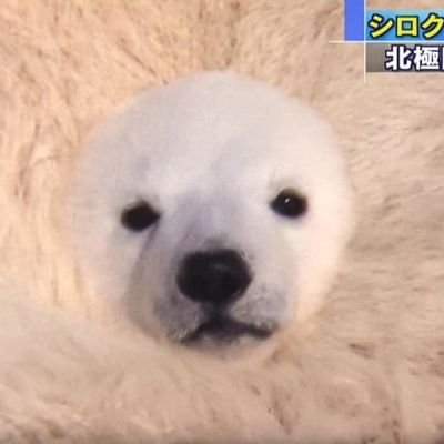 MissDanniTiger | #BLMさんのプロフィール画像