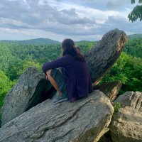 FLOrangeBird (@whatthe_samhill) Twitter profile photo