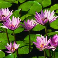 nand kishor (@nandkis25033793) 's Twitter Profile