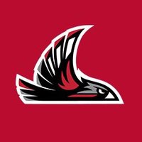 NNU Nighthawks(@NNUSports) 's Twitter Profile Photo