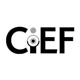 CiEFve Profile Picture