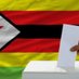 ZimbabweDecides2023 (@ZimDecides2023) Twitter profile photo