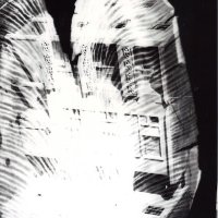 Dize Kükrer (@dizekukrer) 's Twitter Profile