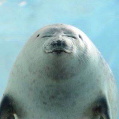 snoillib's profile picture. 20代後半。妻帯者。日本の個別株から始めてやや勝ったものの性格に合わず挫折→投資信託やETFを中心に運用を開始。債券や不動産も勉強中です。目標は60歳で一億。リベ大。リベシティ未加入。自称愛妻家なので、出会い求めていません。