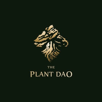 The Plant DAO exists to plant trees and provide rewards to holders for being part of an amazing cause. https://t.co/WajM8adaj2