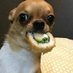 Pithecanthropus dubium (@pitheca_dubium) Twitter profile photo Pithecanthropus dubium (@pitheca_dubium) Twitter profile photo