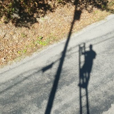 Schweinhardt's profile picture. 🌎🌲🍄⛰🌖🌗🌘🌑🌒🌓🌔