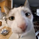 Jaden Barrera - @JadenBarrera10 - Twitter