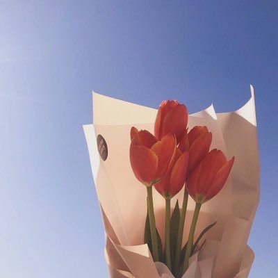 k_524u's profile picture. お祝いごととかチケのことで浮上します🎈