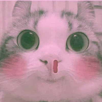 loudwick78's profile picture. 