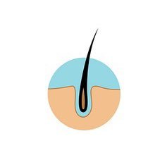 Losing your hair?

I am a hairloss research my goal is to share fact-based information on hairloss treatments that have at least some science behind it.