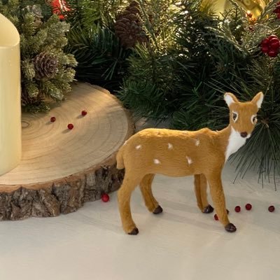 hpzzeng's profile picture. 오래 걷는 길