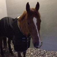 Steven Croft (@steve_croft) 's Twitter Profile