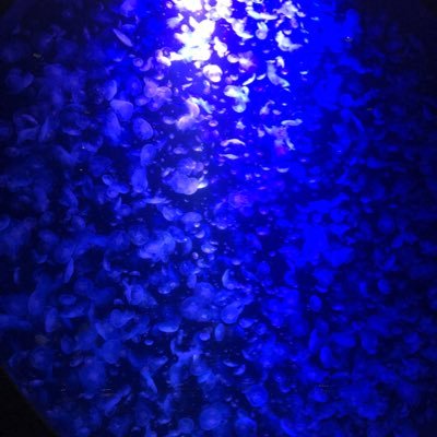yeolja96's profile picture. 何かを間違えてyeoljaにログイン出来なくなりました。つまりは、yeoljaです😝