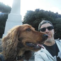 Ben Howe🐶🐱🇮🇪🇪🇺🌈 🇮🇱(@oheochaidh) 's Twitter Profile Photo