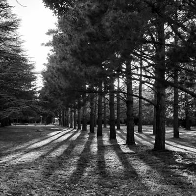 Kantankers's profile picture. 