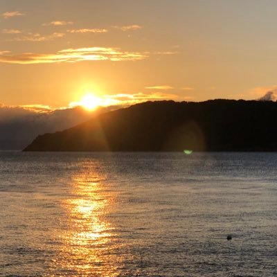 shogobeabea's profile picture. 