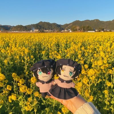 Yuuiさんのプロフィール画像