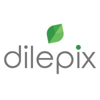 Dilepix (@dilepixlive) 's Twitter Profile