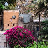 h (@4x4txe20) Twitter profile photo