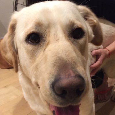 Javascr44's profile picture. 🇫🇷🏍🚘