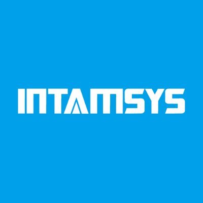 intamsys_3d Profile Picture