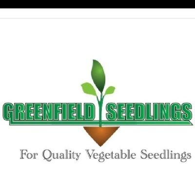 Greenfield seedlings is one of the best companies that provide quality seedlings in Zimbabwe at affordable price.