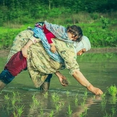 Pandit_Varanasi's profile picture. cricketer