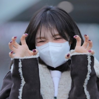 netgov1's profile picture. 