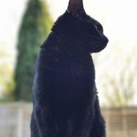 @crnamaca2 (@crnamaca2) 's Twitter Profile Photo @crnamaca2 (@crnamaca2) 's Twitter Profile Photo