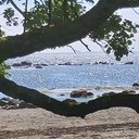 Dr Fiona Sheppard - @Fiona4810 - Twitter