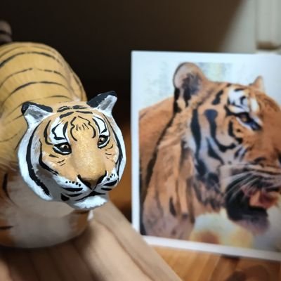 レッサーパンダが一番好きだけど、トラとネコ科も好き
SDカードの中に写真寝かせがち
一人で気ままに動物園行って、いい写真撮れたら、それで満足
園内での人間のアレコレは疲れちゃうので、動物個体の病気や怪我以外は関わりません