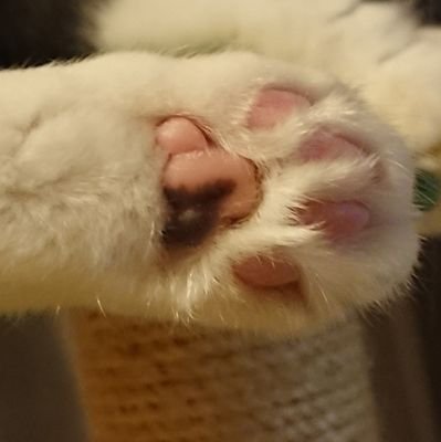 sme18mmhg's profile picture. お笑い芸人のニューヨークのお二人を応援しています