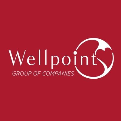 Platform OSGB, Wellpoint Akademi, Wellpoint Homecare, Curative, Wellpoint Global, Unicall, Mana Bakım Merkezi