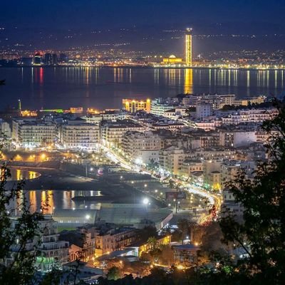 takiyeddi's profile picture. researcher in security's studies and international terrorism 

Professor of Arabic language