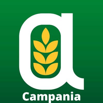 Confagricoltura Campania rappresenta circa 8.000 aziende associate nelle varie forme di impresa e le 5 unioni dalle quali è costituita.