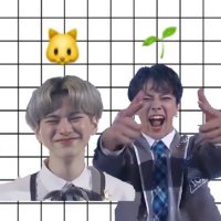 チナツ🌱🐱 (@_shikapyonpyon_) 's Twitter Profile